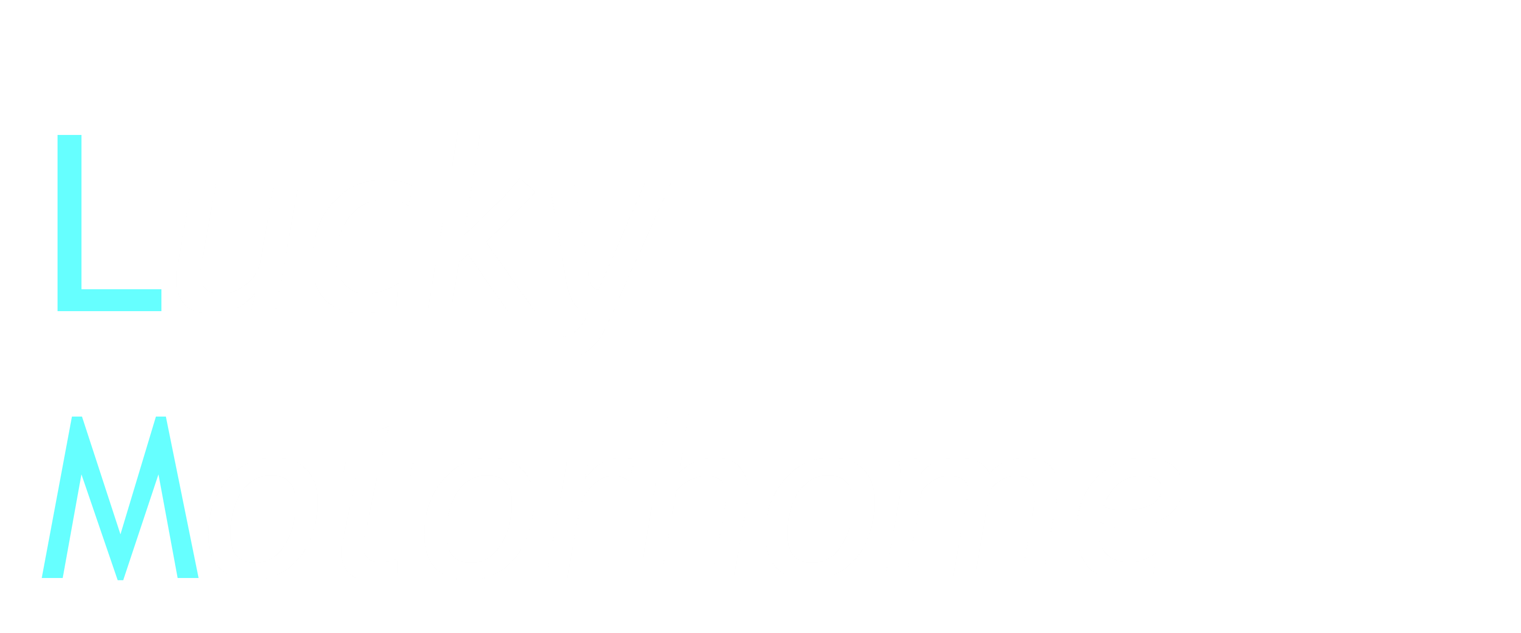 Lucky Motorhome